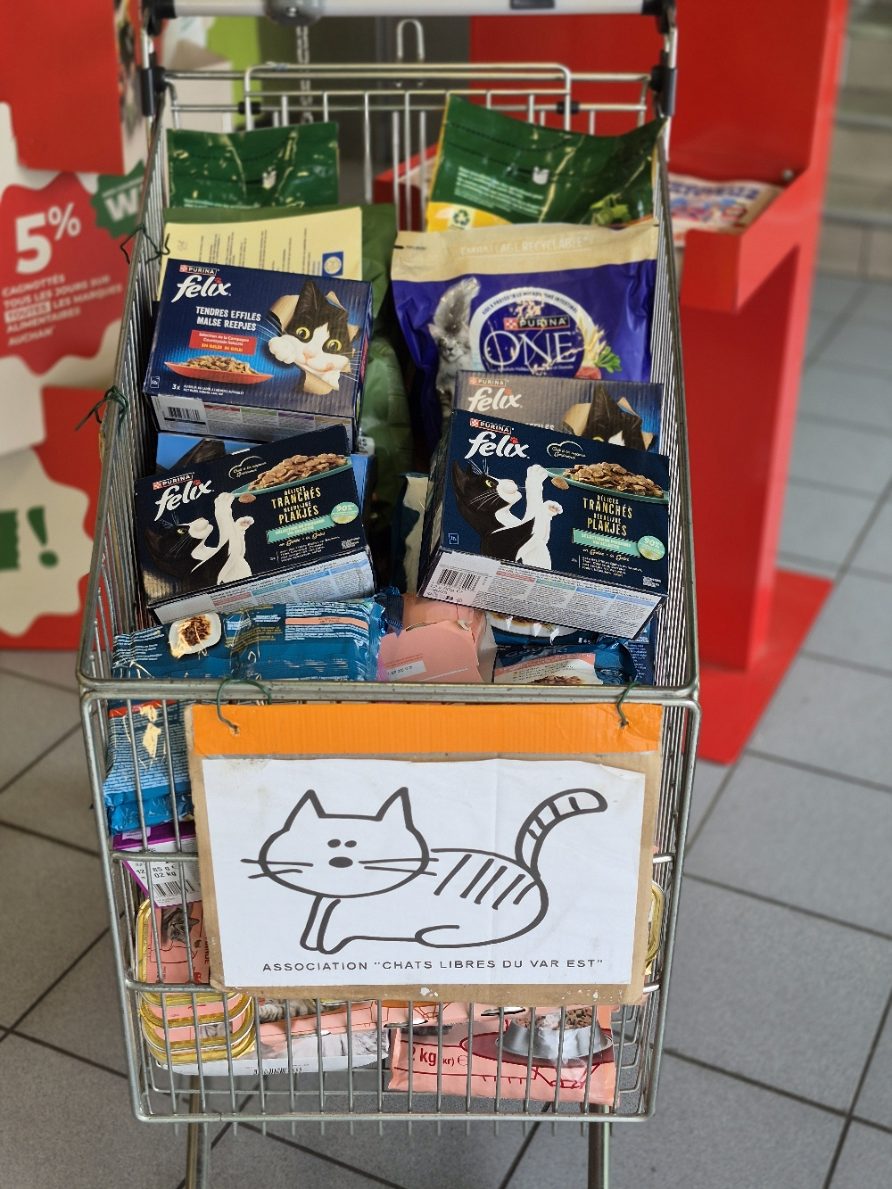 COLLECTE DE CE MATIN A AUCHAN TASSIGNY